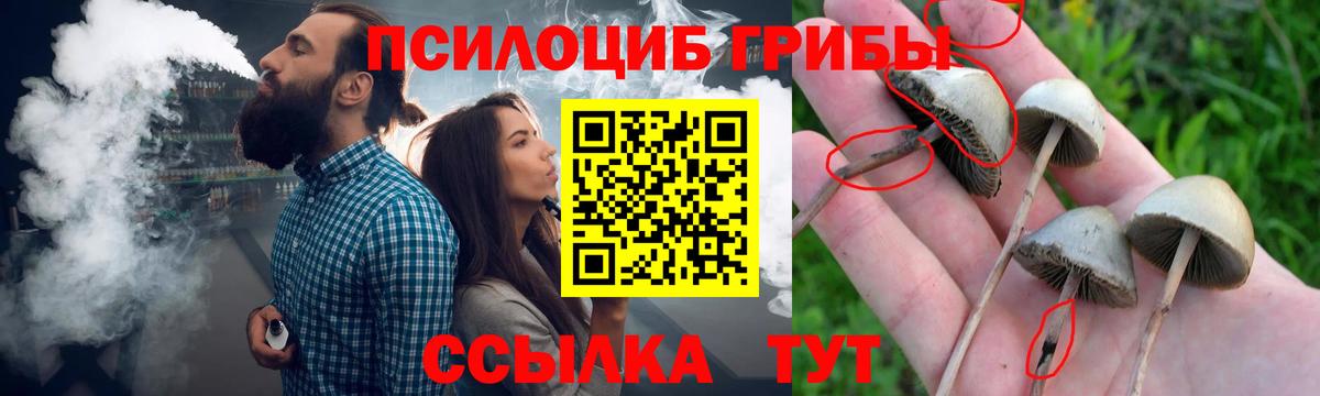 Псилоцибиновые грибы Magic Shrooms Гулькевичи